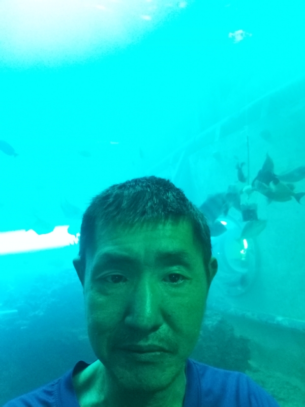 陸戰隊的第一张照片--聊城相亲服务中心