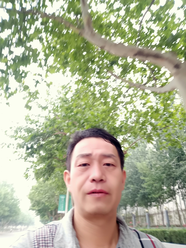 阳光的第一张照片--聊城相亲服务中心