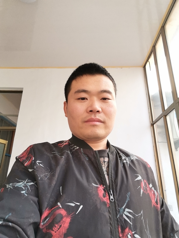 会飞的猪的第一张照片--聊城相亲服务中心