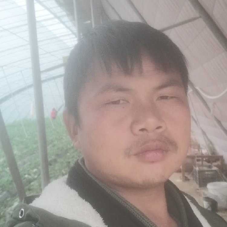 孤狼‘的第一张照片--聊城相亲服务中心