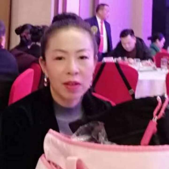 中秋桂花玉兔的第四张照片--聊城相亲服务中心