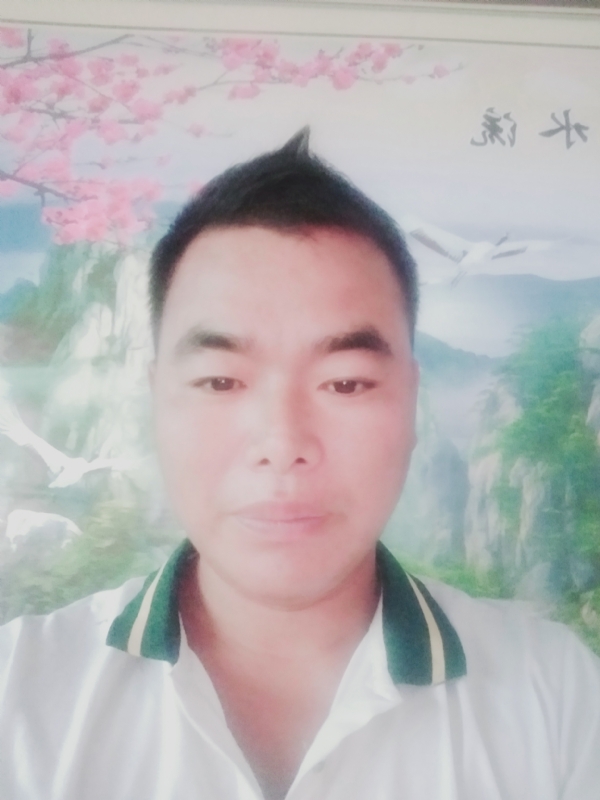 阳光男孩的第二张照片--聊城相亲服务中心