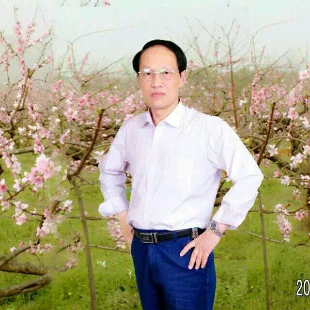 枫叶的第一张照片--聊城相亲服务中心