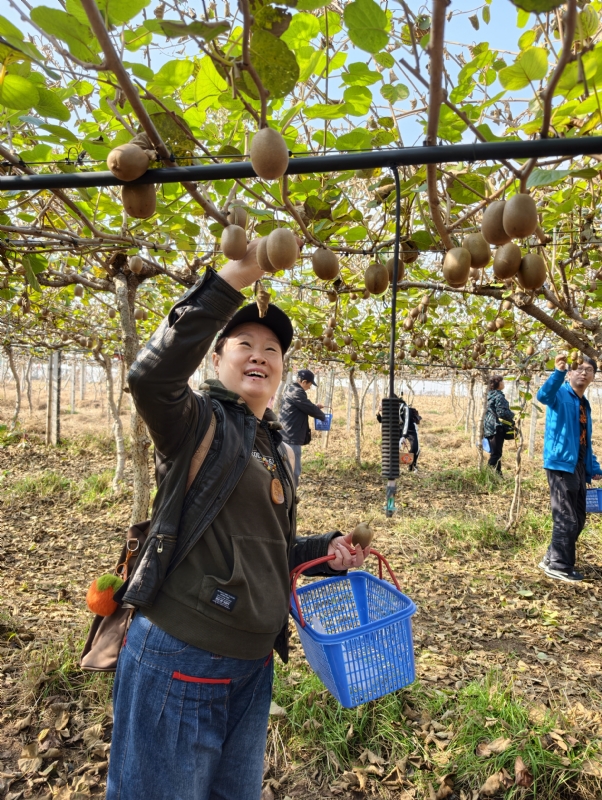 夜莺的第四张照片--聊城相亲服务中心